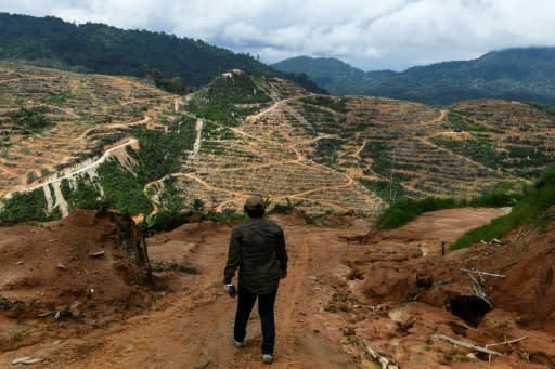 The report finds that three-quarters of land surfaces have been 'severely altered' by mankind including through deforestation