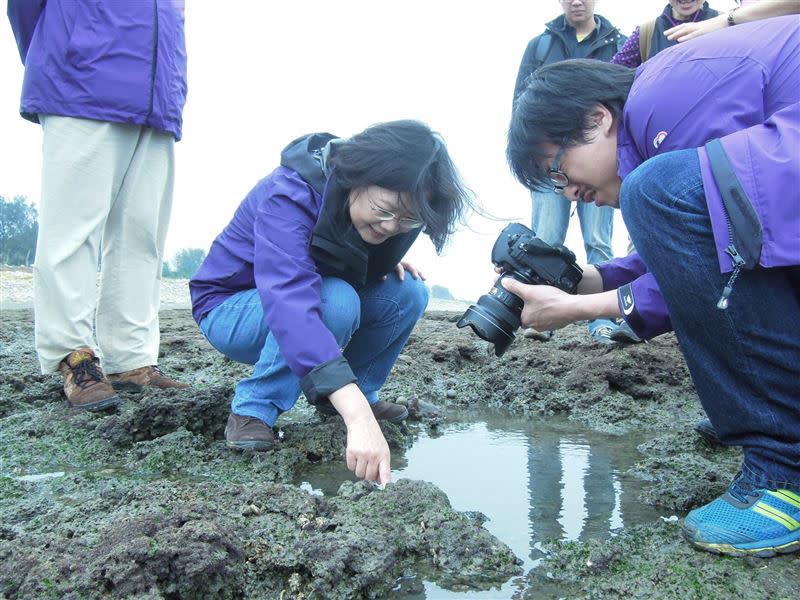 國民黨率眾採「大潭藻礁」遭質疑，潘忠政拿總統蔡英文受邀赴「觀新藻礁」照片反駁。（圖／翻攝自潘忠政臉書）