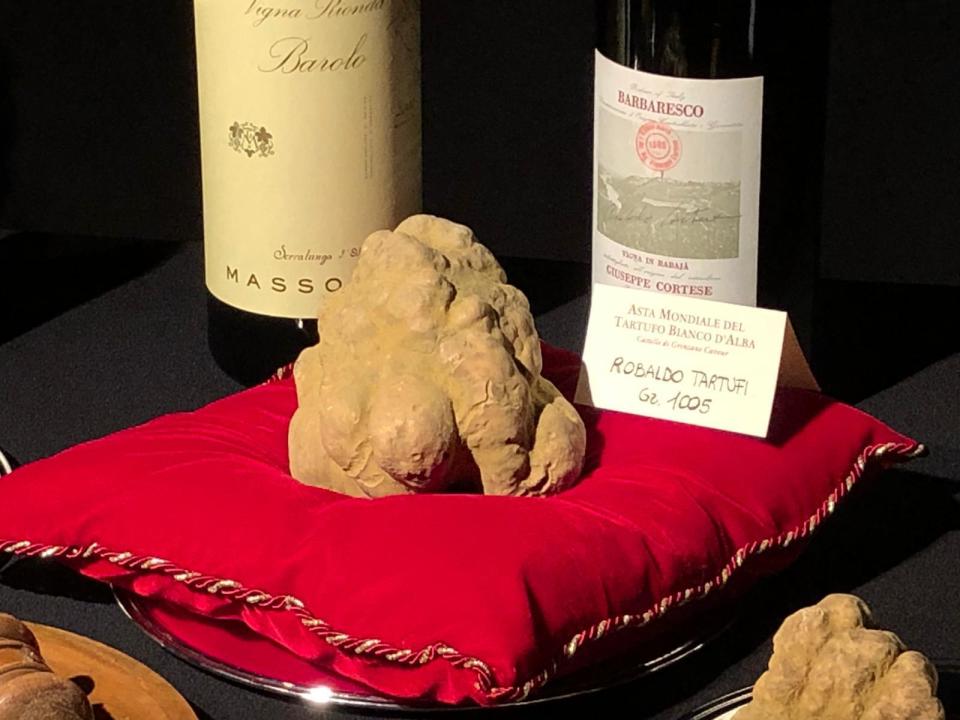 In this photo taken on Sunday, Nov. 10, 2019, a white truffle weighing 1,005 grams, which was sold to a bidder in Hong Kong for 130,000 euros, via video link from the castle in Grizane Cavour, where prized white truffles are auctioned off for charity each year, often to undisclosed bidders. (AP Photo/Colleen Barry)