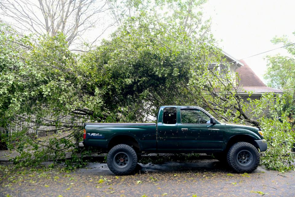 A fallen tree surrounds a truck in West Asheville April 13, 2020 after an overnight storm.