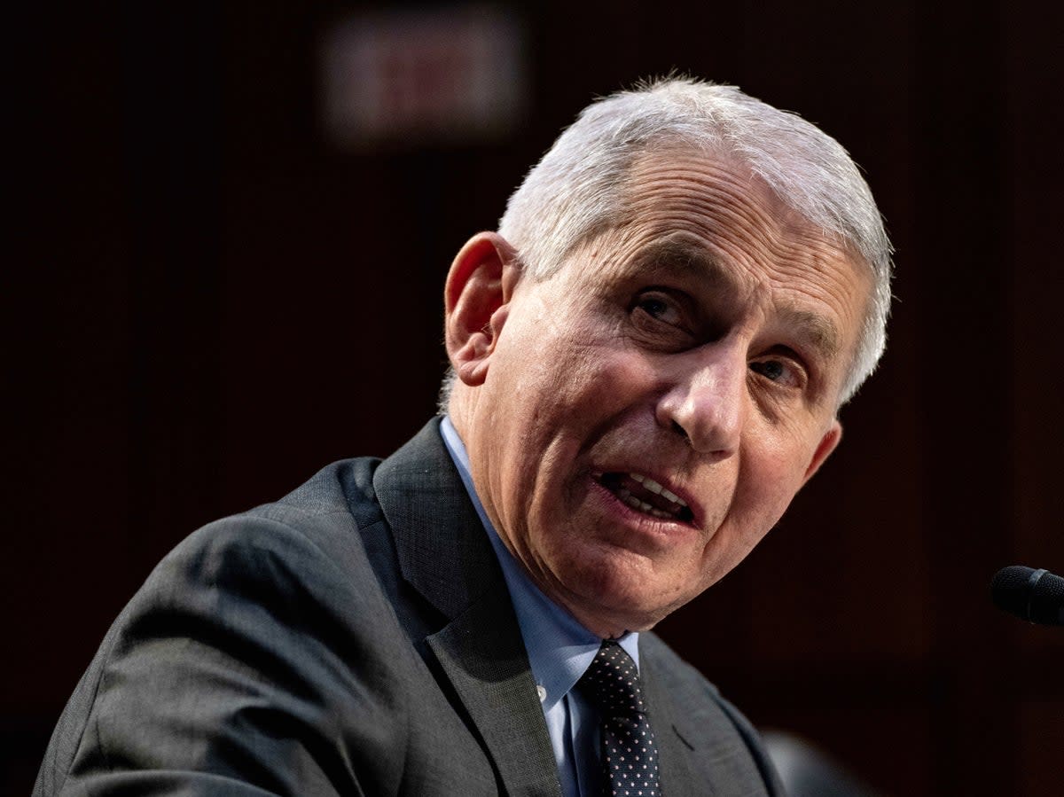Anthony Fauci speaks at a hearing with the Senate Committee on Health on Capitol Hill on 18 March 2021  (Getty)
