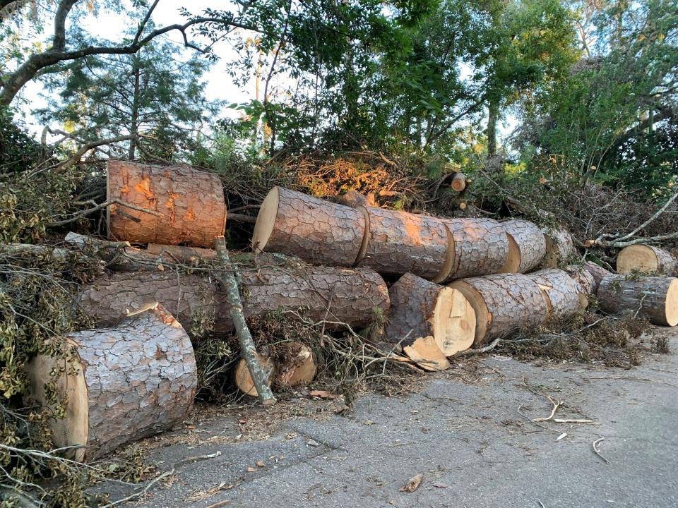 More than a week after the May 10 storms and tornadoes, tree trunks, limbs and other detritus is piled on Tallahassee and Leon County roadsides, 7-8 feet high in some places, as seen here in the Indianhead neighborhood, Tuesday, May 21, 2024.