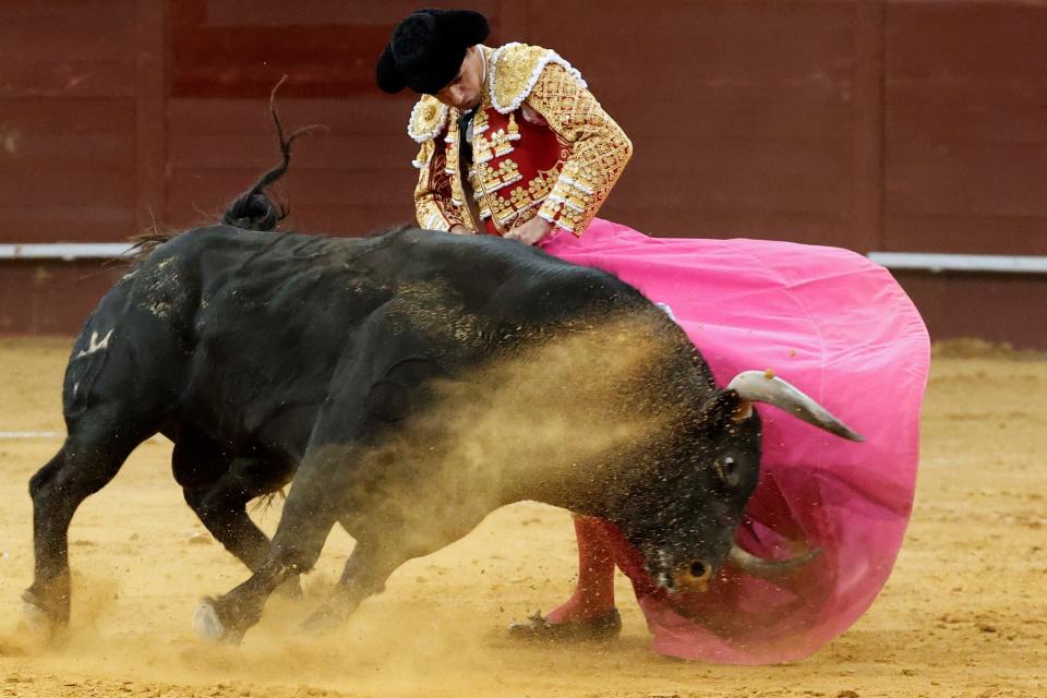 A Spanish bullfighter in action during at Vistalegre bullfighting arena, in Madrid (EPA)