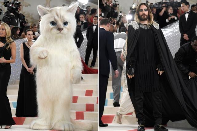 Met Gala 2023: mira quién era el impresionante gato y cómo lució