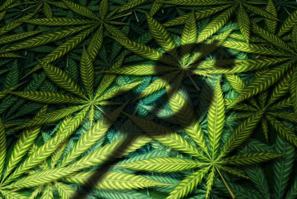 A dollar sign shadow cast atop a large pile of cannabis leaves.