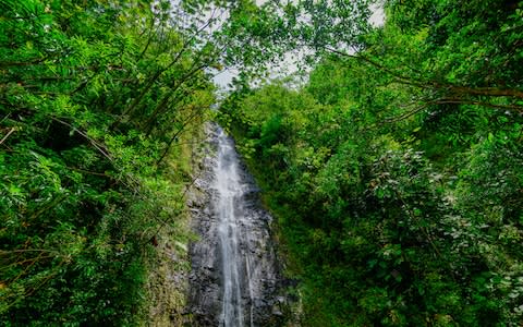 Secret waterfalls in Manoa - Credit: iStock