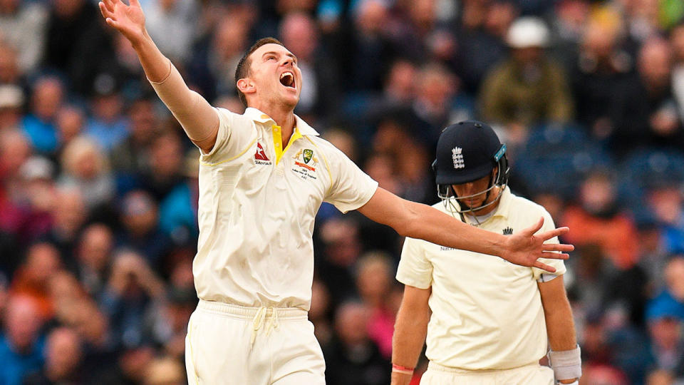 Josh Hazlewood starred for Australia on day three. 