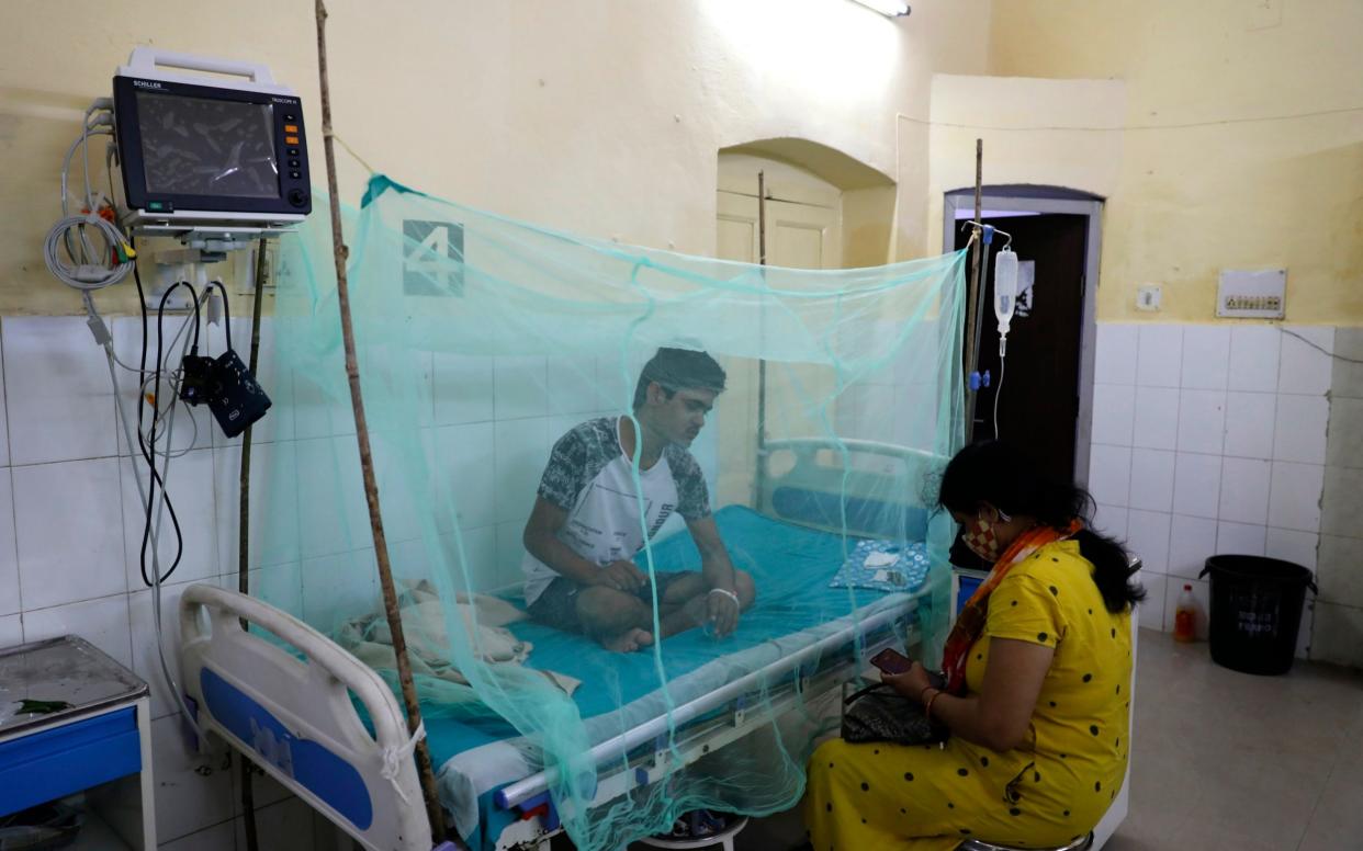 A dengue patient rests under a mosquito net at the dedicated ward of a government hospital in Prayagraj, Uttar Pradesh, India - Rajesh Kumar Singh/AP 