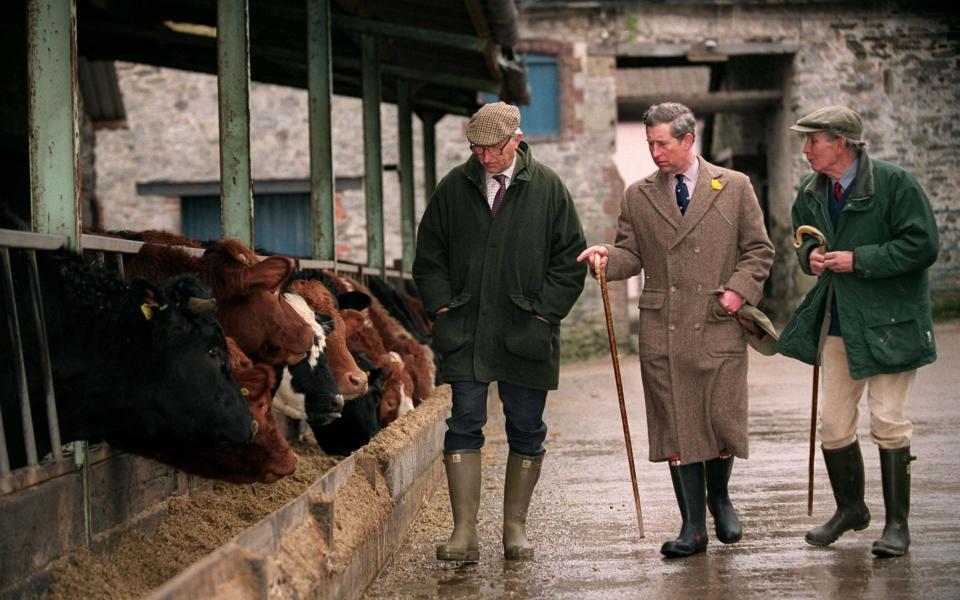 Prince Charles With Welsh Farmers on Penbedw Farm, Nannerch, Wales - Tim Graham/Getty Images
