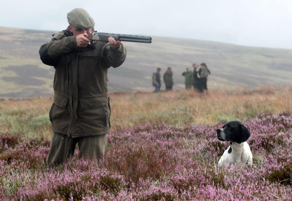 Huge swathes of national park are devoted to grouse shooting, according to Rewilding Britain (David Cheskin/PA) (PA Archive)