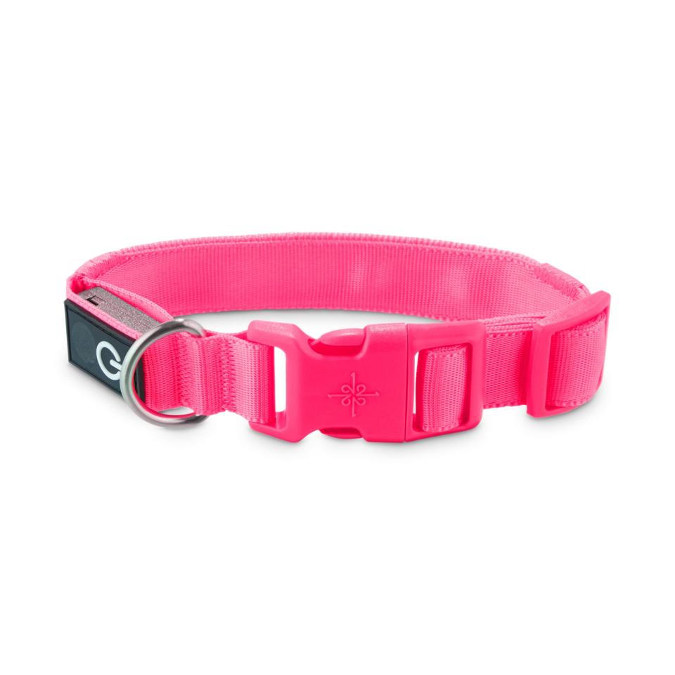 LED Light-Up Dog Collar