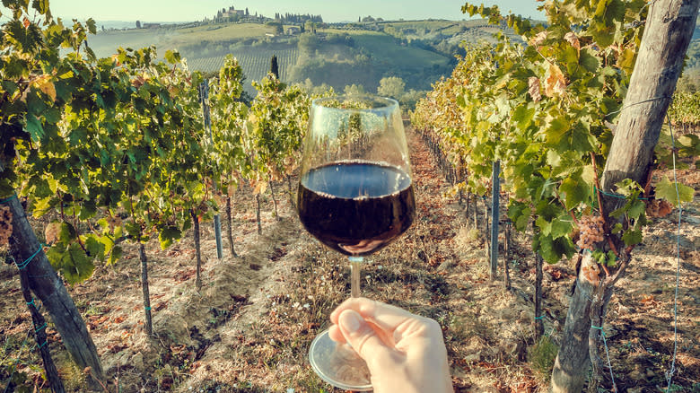 holding wine glass at vineyard