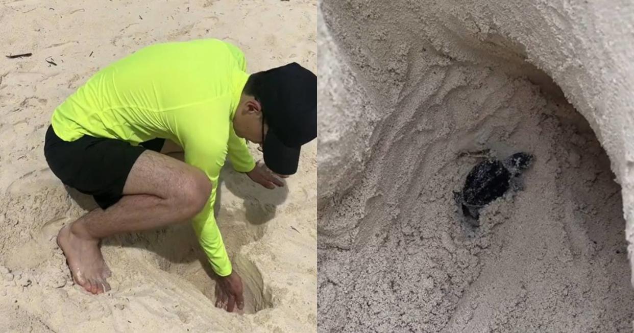 Hizo un hoyo en la arena de una playa de Cancún y halló un nido de tortugas. Foto: captura de video TikTok vía @juanr.97