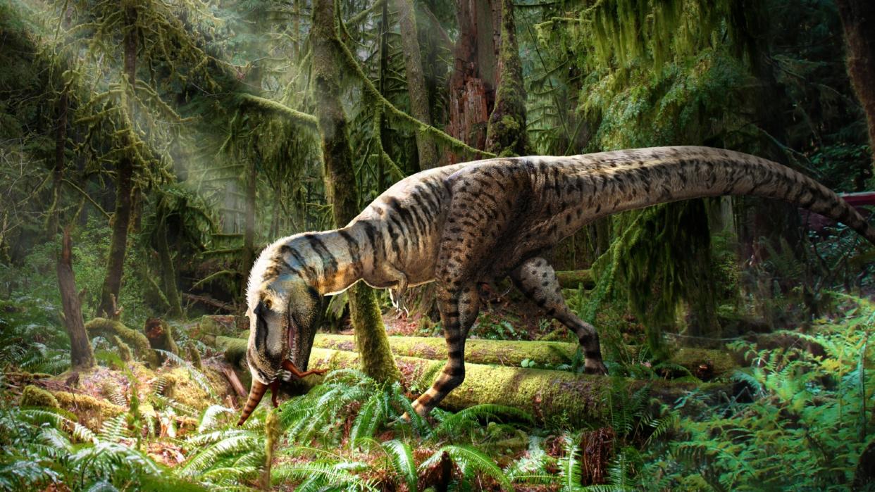  A reconstruction of gorgosaurus eating a small dinosaur in a forrest. 