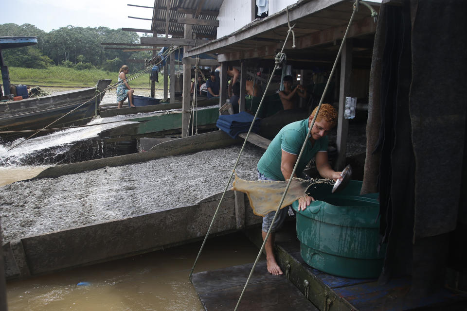 Illegal gold miner Gerivaldo de Carvalho, 42, works on his dredging barge on the Madeira river, a tributary of the Amazon river, searching for gold, in Autazes, Amazonas state, Brazil, Thursday, Nov.25, 2021. Hundreds of mining barges have arrived during the past two weeks after rumors of gold spread, with environmentalists sounding the alarm about the unprecedented convergence of boats in the sensitive ecosystem. (AP Photo/Edmar Barros)