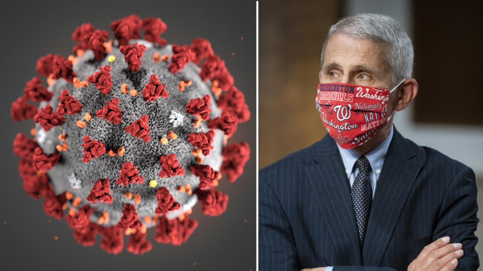 Dr. Anthony Fauci (Right) is pictured next to a microscopic view of the coronavirus virus. 