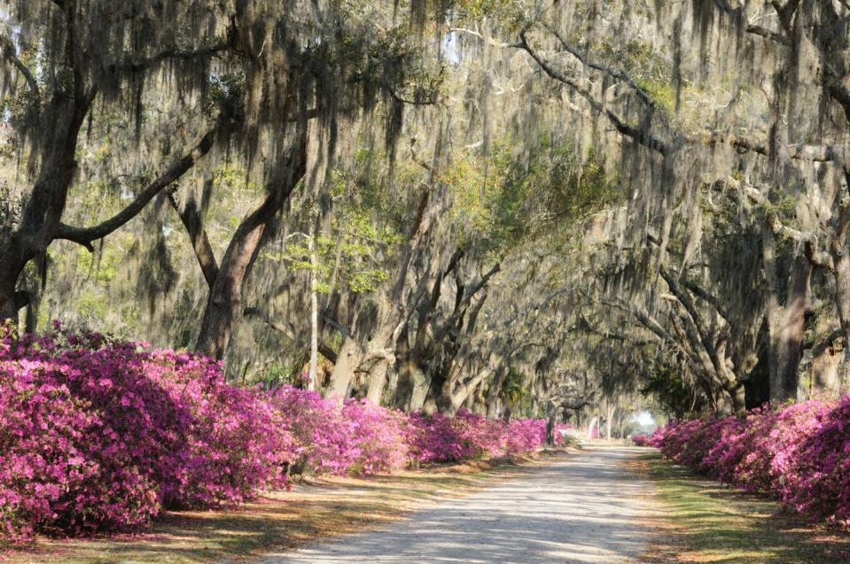 15) Bonaventure Cemetery in Savannah, Georgia