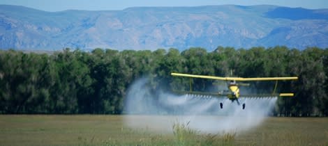 Amid continued concerns over pesticides, sales of organic food have continued to grow steadily each year, even in the wake of the economic downturn.