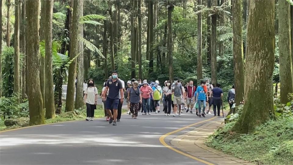 國慶雙十連假　南投風景區人潮車潮塞爆！