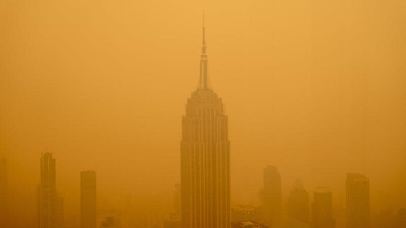 Image:  David Dee Delgado (Getty Images)