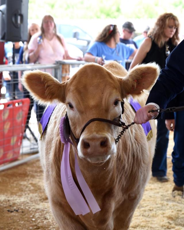 San Bernardino County Fair returns to Victorville with Sunland Ford