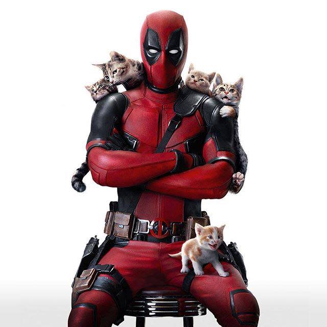 deadpool-caturday