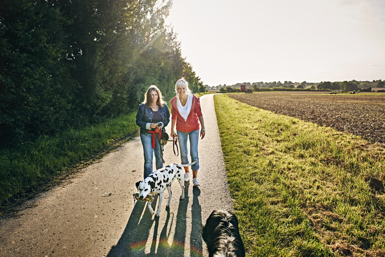 Two mature women taking a walk with their two dogs on a country road in Schleswig-Holstein, Germany