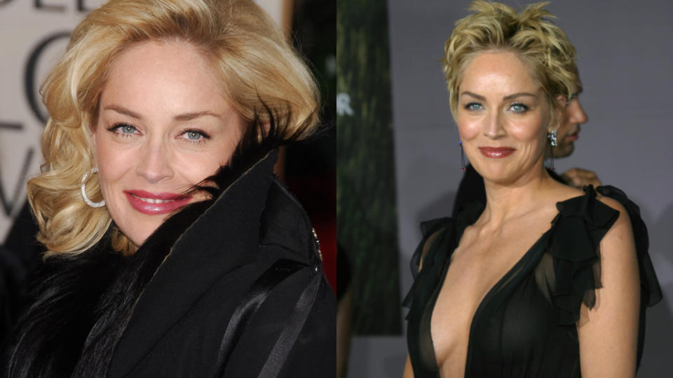 莎朗史東（Sharon Stone）近日曬出上空照辣翻眾人。（圖／達志影像）