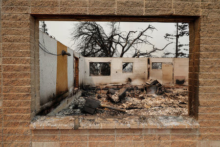 A view of a charred house and tree that burned in the Carr Fire, west of Redding. REUTERS/Fred Greaves