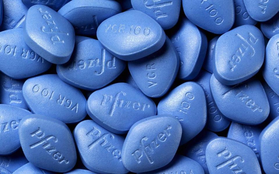 Analysis revealed that sildenafil, the chemical name for Viagra, may be effective at targeting some proteins involved in the development of Alzheimer’s in the brain - AFP Photo/Hoho/AFP/Getty Images