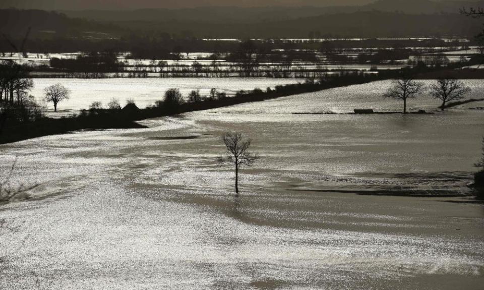 <span>Photograph: Oli Scarff/AFP via Getty Images</span>