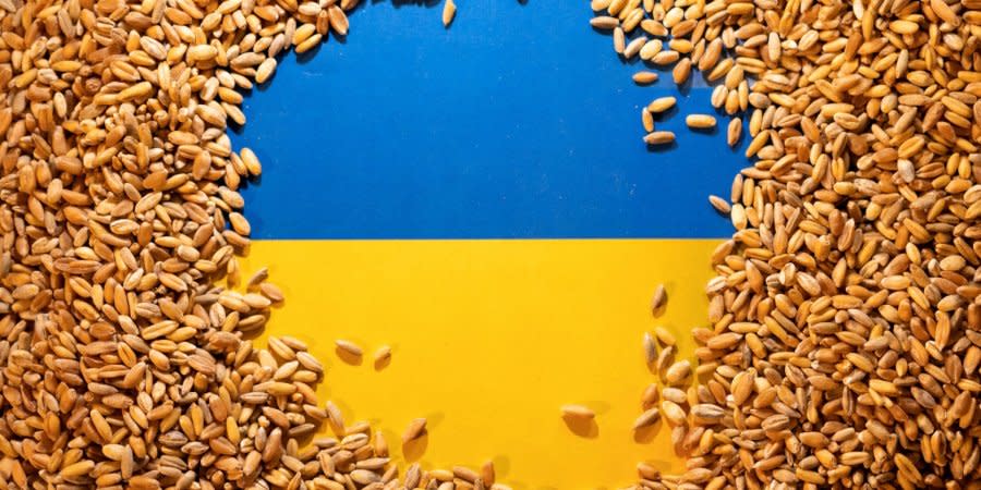 Ukrainian flag and Ukrainian grain