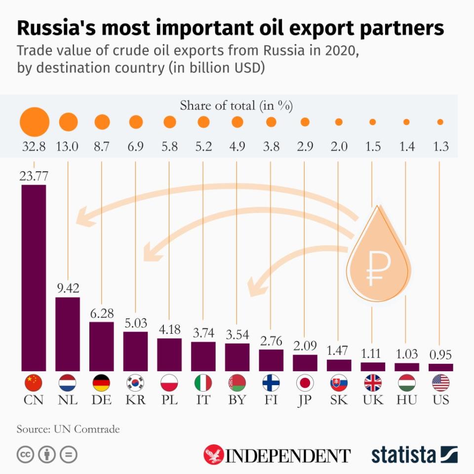 This infographic by Statista shows the countries which import the most Russian oil (Statista/The Independent)