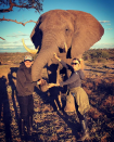 <p>También el delantero subió una imagen en la que posan junto a un elefante. “Un precioso Amigo, un animal espectacular”, escribió Mauro en su cuenta de Instagram junto a esta postal. </p>