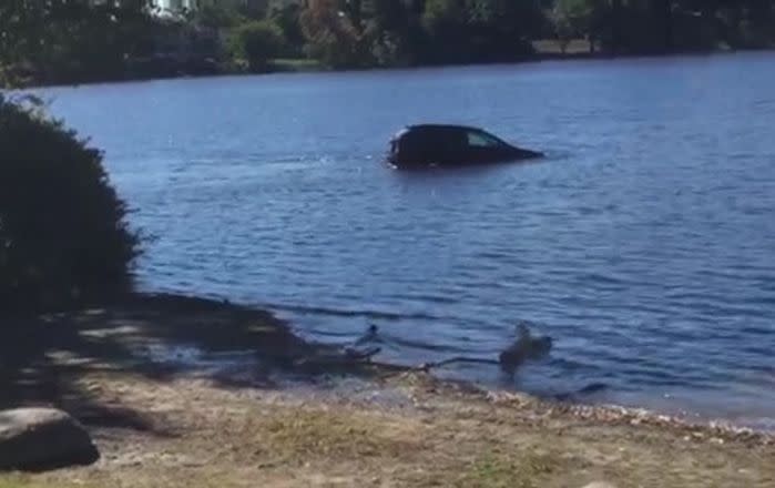 The car drives into the pond and starts to float away from the pond's edge. Image: The Sun/John Guilfoil Public Relations
