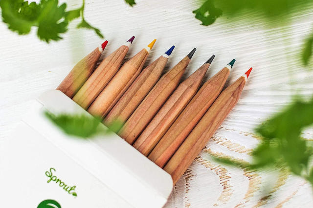 Aus den nachhaltigen Stiften von Sprout wachsen später Kräuter, Blumen oder sogar Gemüsesorten! (Bild: Amazon.de)