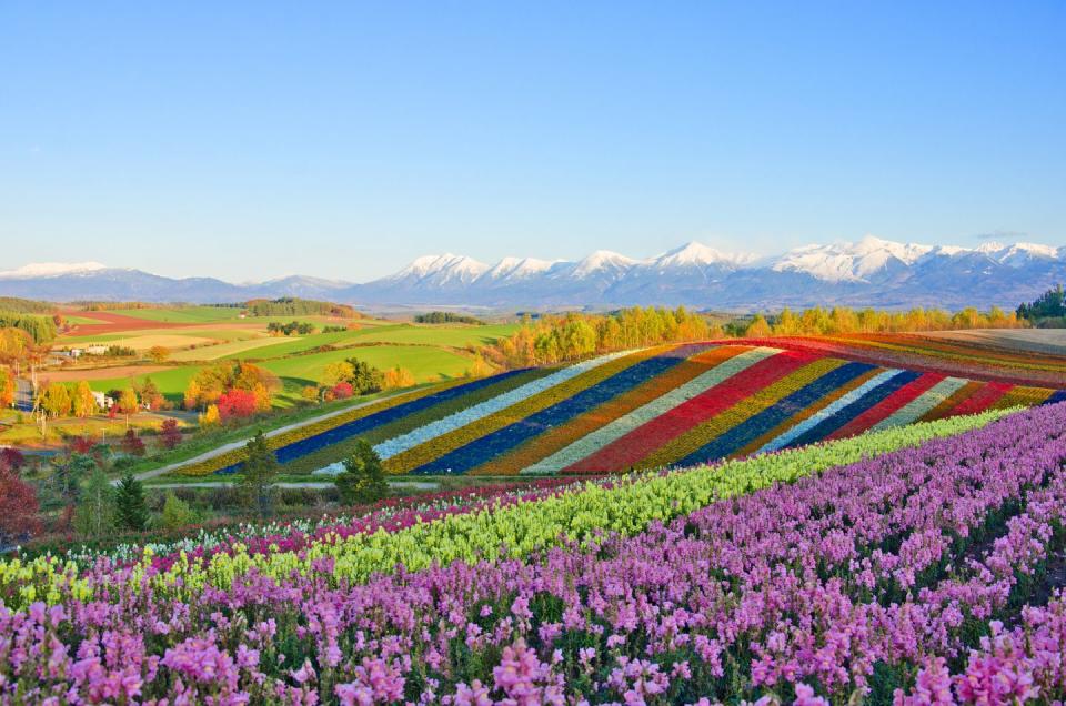 biei town, hokkaido, japan