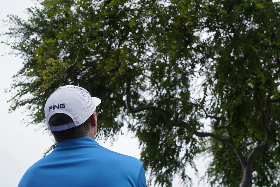 Mackenzie Hughes, of Canada, looks upward towards his ball that is stuck in the tree along the 11th fairway during the final round of the U.S. Open Golf Championship, Sunday, June 20, 2021, at Torrey Pines Golf Course in San Diego. (AP Photo/Jae C. Hong)