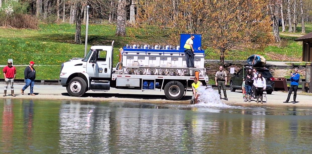 Trout stockings are continuing throughout the spring across Pennsylvania. Here the Pennsylvania Fish and Boat Commission release trout Saturday in Laurel Hill Lake in Somerset County.