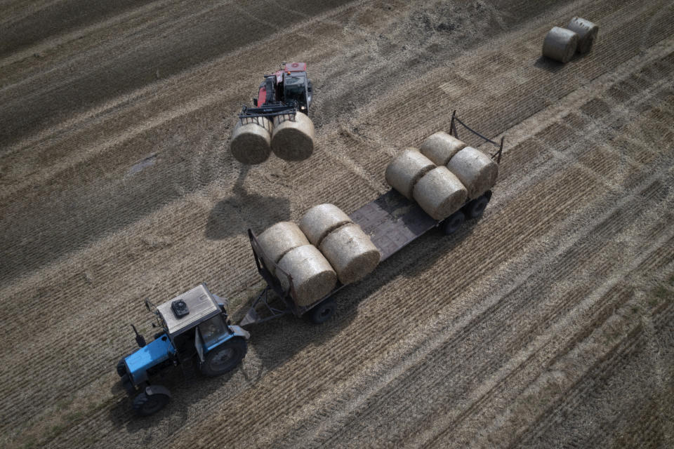 FILE - A tractor collects straw on a field in a private farm in Zhurivka, Kyiv region, Ukraine, on Aug. 10, 2023. Add the Ukraine war and the EU's decision to give the embattled nation sizeable leeway to export its cheap produce that often doesn't even have meet strict environmental standards that EU farmers face, and it makes for a perfect storm just as the EU-wide elections are drawing near. (AP Photo/Efrem Lukatsky, File)