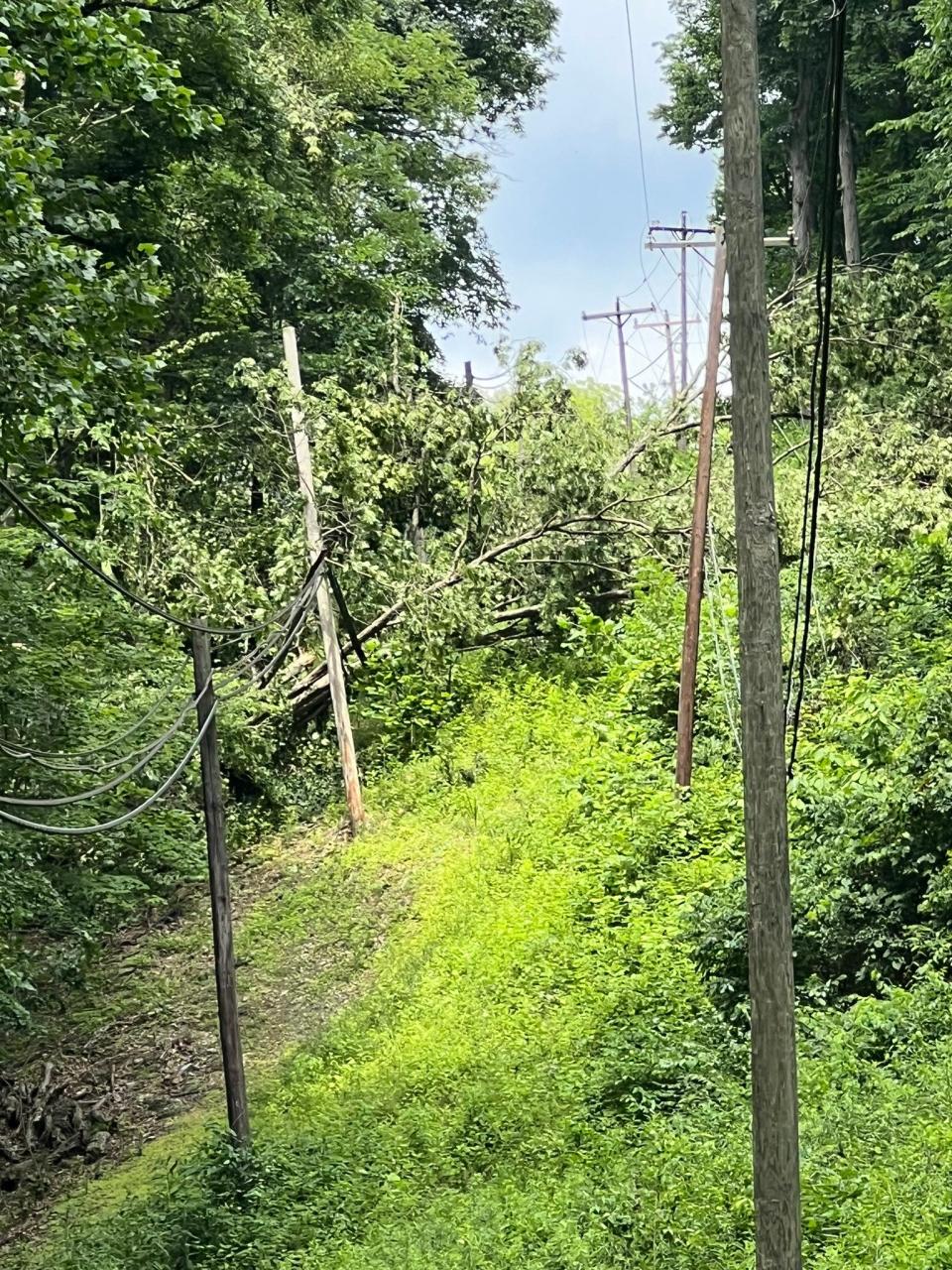 Fallen trees in Monroe County have damaged power lines and interrupted service, Duke Energy said.