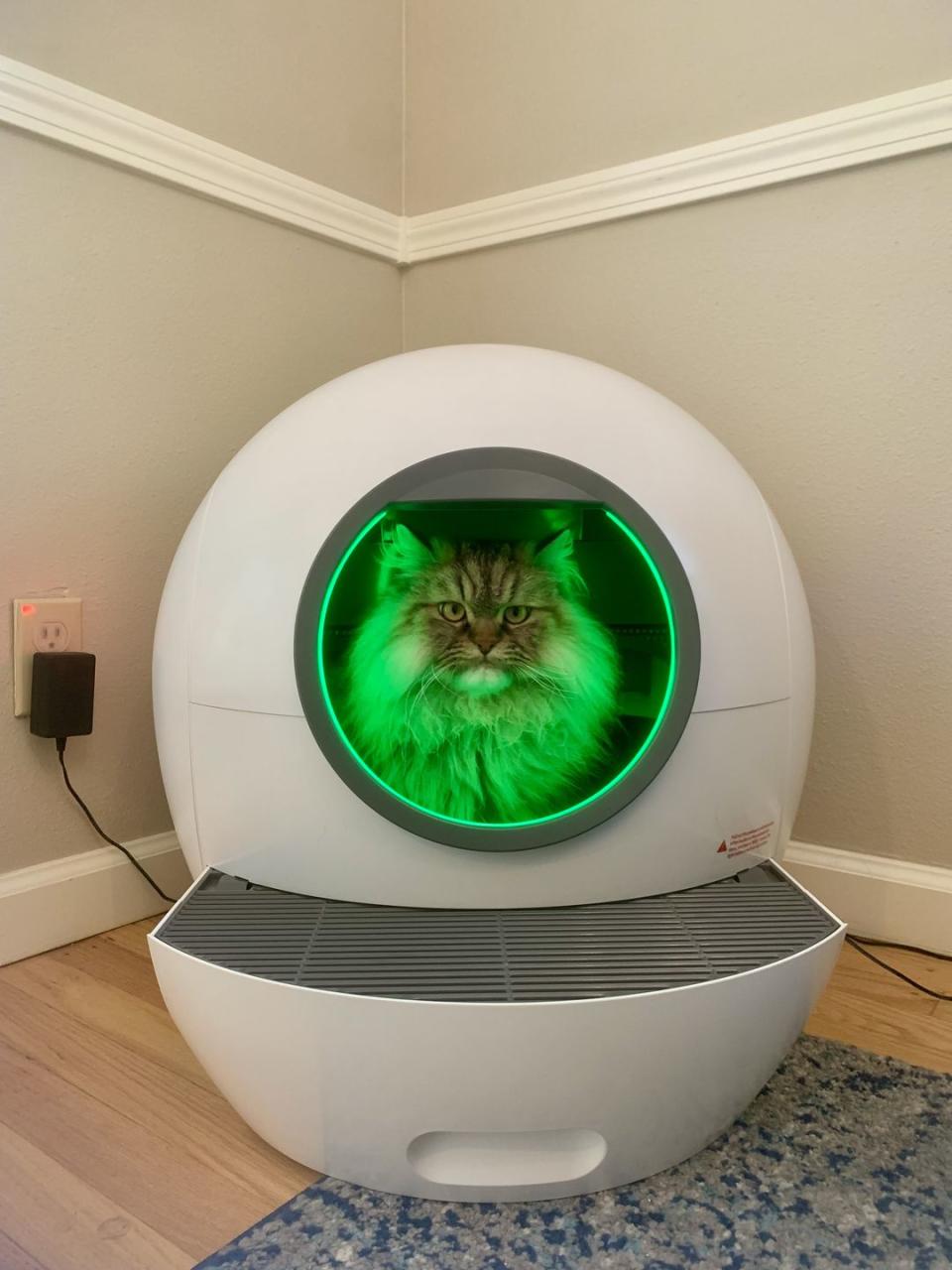 cat in els pet spaceship litter box