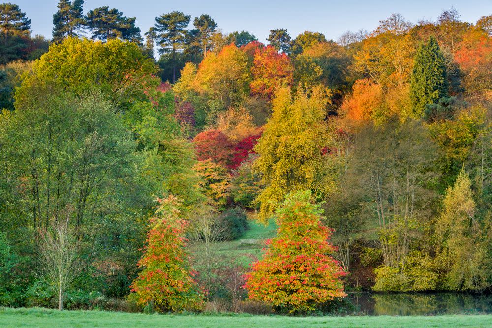 Winkworth arboretum