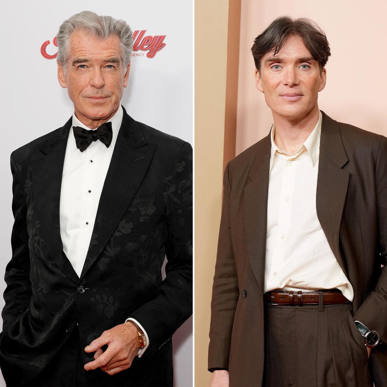 Pierce Brosnan Says Cillian Murphy Would Play a Magnificent James Bond 641