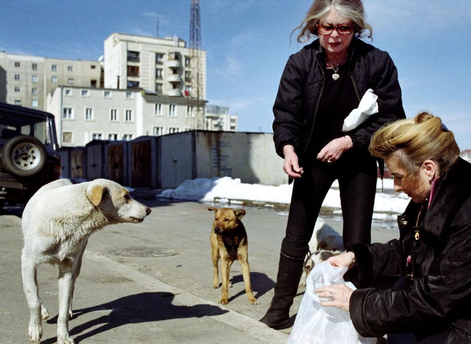 Jetset, Partys, Paparazzi ... das war einmal. Brigitte Bardot, inzwischen 86 Jahre alt, setzt sich heute zuvorderst für den Tierschutz ein. Sie ist unter anderem Aktivistin der Organisation Sea Shepherd. Kontroverser wird ihr politisches Engagement aufgenommen. Sie wird der französischen Rechten zugerechnet. (Bild: Kael Alford/Newsmakers)