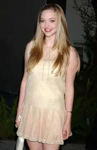 <p>Albert L. Ortega/WireImage</p> Amanda Seyfried in 2004