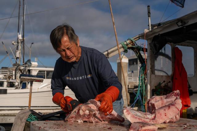 Salmon populations are struggling, bringing economic woes for California's  fishing fleet