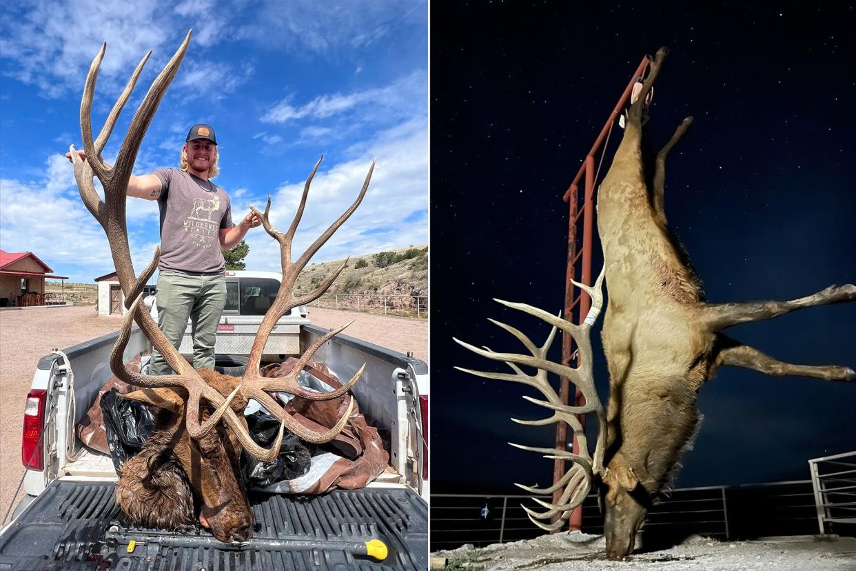 Crum's bull is the biggest ever taken off his family's Cat Mountain Ranch and quite possibly the biggest ever killed in the state of New Mexico.