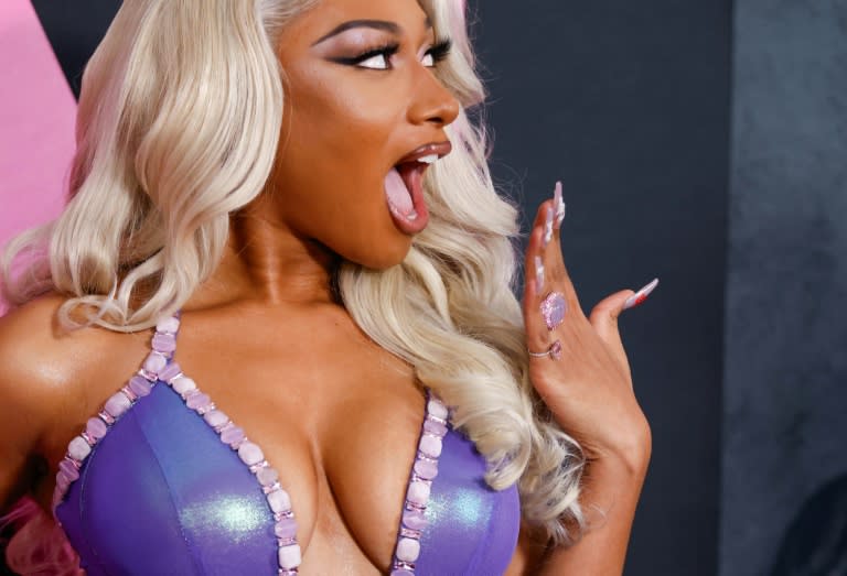 US rapper Megan Thee Stallion is being sued by a cameraman who claims he was forced to watch her having sex with another woman (KENA BETANCUR)