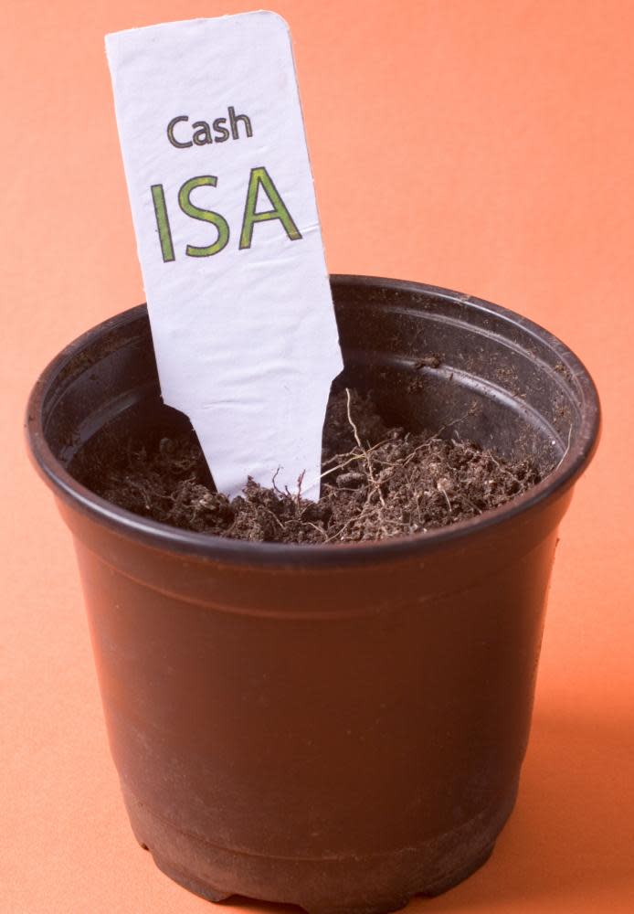 Cash isa label in plant pot with small shoots